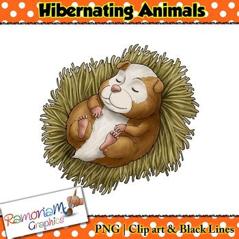 Check spelling or type a new query. Hibernating Animals in their homes Clip art by RamonaM Graphics | TpT