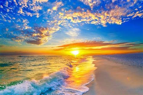 Golden Sunset Beach Blue Sky By Eszra Tanner