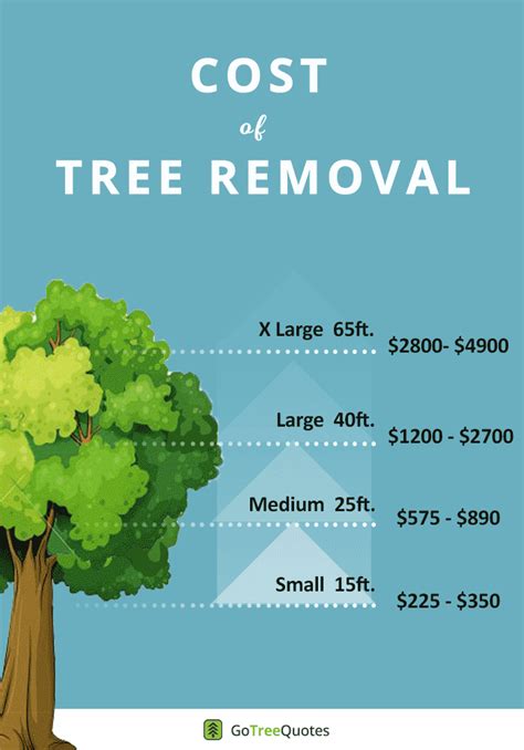 How Much Does Tree Removal Cost Winter 2024 Price Guide