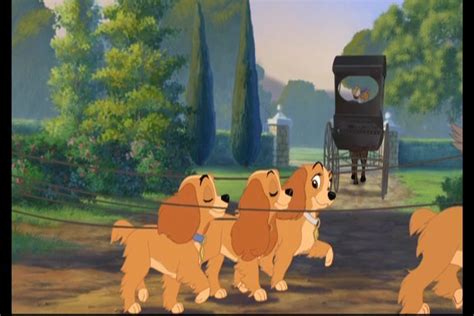 Lady And The Tramp 2 Screencaps Lady And The Tramp Ii Image 15595210