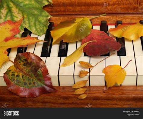 Autumn Leaves On Piano Image And Photo Free Trial Bigstock