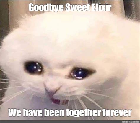 Sad Goodbye Cat Meme