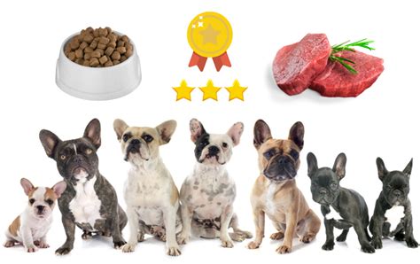 Top 6 Dog Foods For French Bulldog Puppies Rocky Kanaka