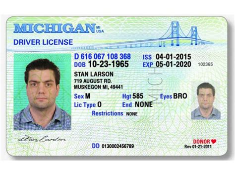 We did not find results for: Michigan Driver License Template Psd - Drivers Licence Templates