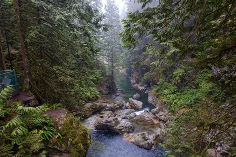 Hiking Trails In Lynn Canyon Park And Suspension Bridge In Lynn Valley