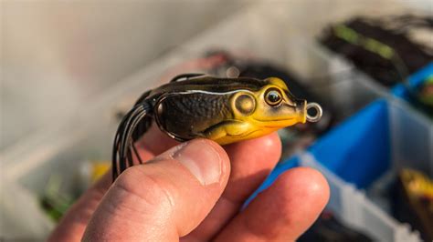 5 Bass Fishing Frogs Im Excited To Try This Fall