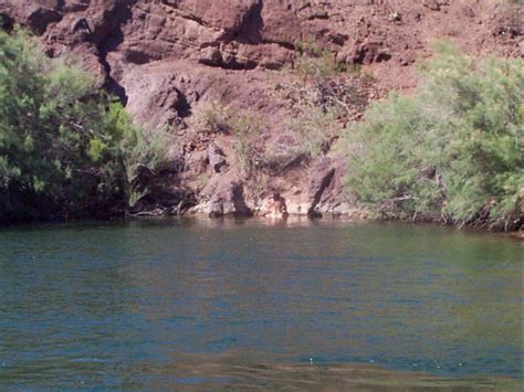 The right way to cook a hot dog. Lake Havasu Memorial Day Weekend 2001