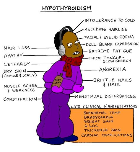 Symptoms Of Symptoms Of Hypothyroidism