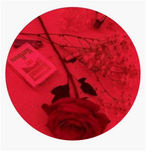 Aesthetic sad quotes transparent image. Red Rose Grunge Aesthetic Aestheticcircle Circle - Dark ...