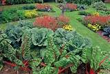 What Is Edible Landscaping