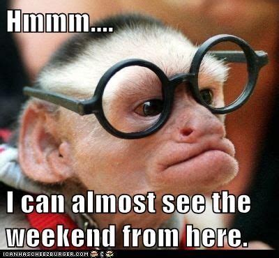 I Can Almost See The Weekend Pictures Photos And Images For Facebook