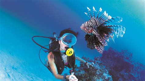 Daily Diving Hurghada - Dive UK