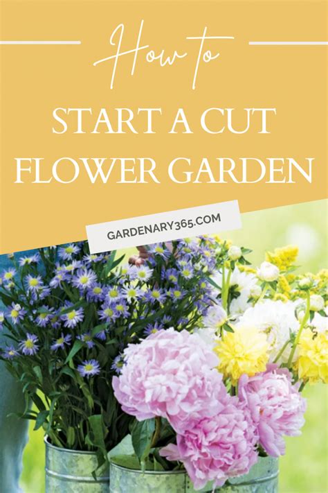 Create A Cut Flower Garden With Gardenary Gardenary