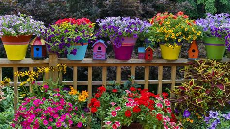 17 Most Colorful Garden Plants