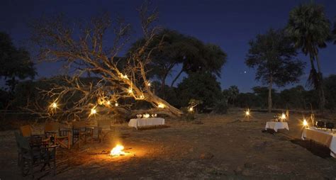 Sausage Tree Camp Zambia Holiday Architects