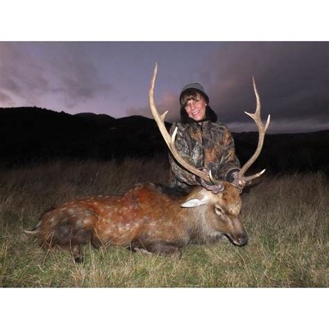 5 Day New Zealand Sika Deer Hunt For One Hunter And One Non Hunter