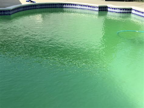 Pool Still Green And Now Cloudy Rpools