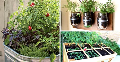A sentimental garden tour 35 photos. 5 Space Savvy, Easy and Efficient Urban Gardening Ideas