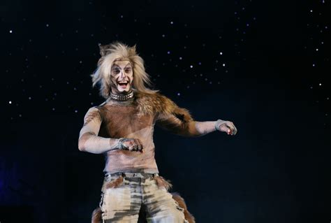 Cats (film) — cats is a 1998 direct to vhs film of the long running west end production of cats , andrew lloyd webber s musical based on old possum s book of practical cats by t. Munkustrap - Wikiwand