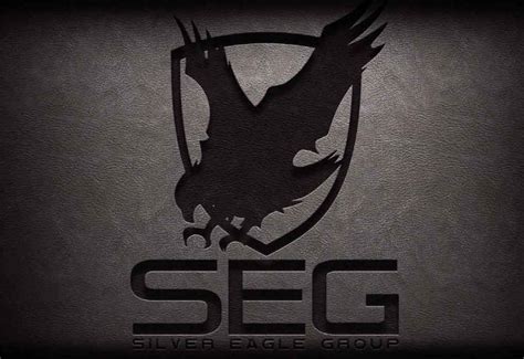 Company Silver Eagle Group