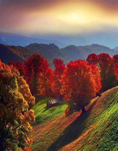 Pin By Rachel Denton On Nature Autumn Scenery Autumn Scenes