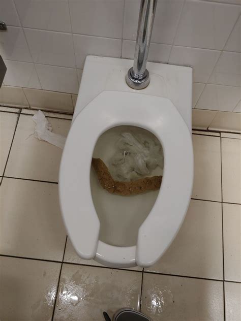Was Already Clogged Before I Used It Poop