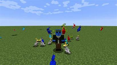 Parrots Party Minecraft Mod Dancing Curseforge 9minecraft