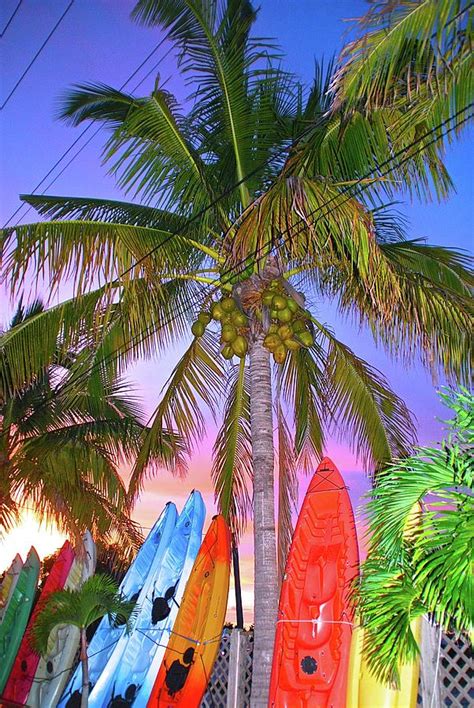 Surfboards At Sunset Photograph By Barbara Wagner Fine Art America