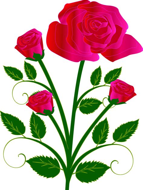 Clipart Rose