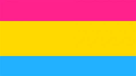 Pan flag pansexual flag, pansexuality, pride, pan, cute, flag, pride month, pride parade, lgbtq, pan sexual merch. All you need to know about pansexuality