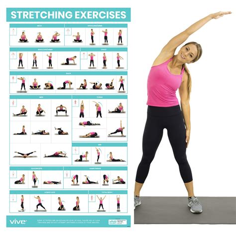 Flexibility Exercises For Legs Ubicaciondepersonascdmxgobmx