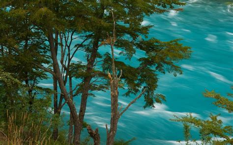 Wallpaper 1400x875 Px Chile Landscape Nature River Summer Trees