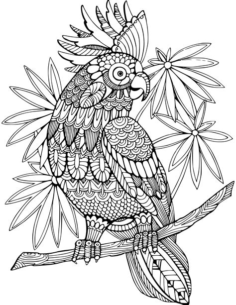 60 Animal Coloring Pages For Adults With Resell Right For 15 Seoclerks