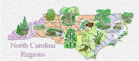 Geography World United States North Carolina Cgms Social Studies
