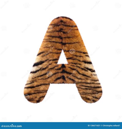 A Letra A Do Tigre Fonte Felino Principal Da Pele 3d Apropriada