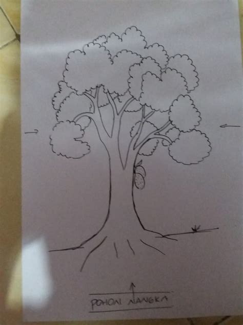 Gambar Pohon Mudah Psikotes