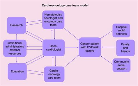 Cardio Oncology Care Team Model The Various Responsibilities Of An