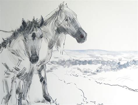 Wild Horses Drawing Painting By Mike Jory Fine Art America