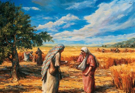 Why was ruth the moabitess, a poor foreigner in israel, called excellent? Picture Scriptures: Ruth Gleaning in the Fields