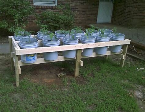 People store some awful things in those buckets, and you wouldn't want it leaching into your food, would you? DIY Plastic Bucket Raised Garden Bed