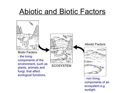 Chapter 21 Ecology Lesson 1 Biotic And Abiotic Factors