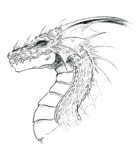 Chinese Dragon Face Drawing At Explore Collection