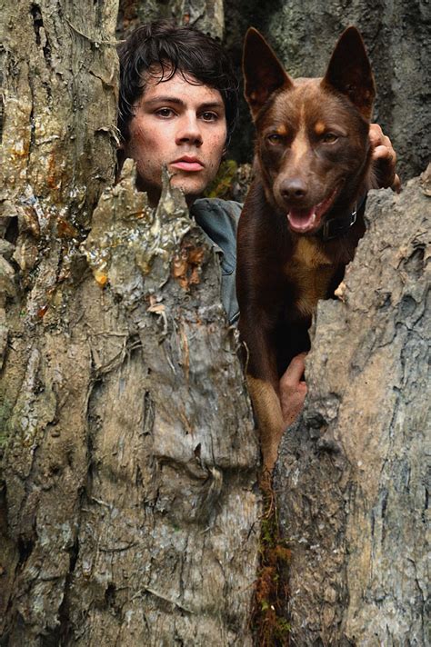 Distributie dylan o'brien, michael rooker, jessica henwick. Love and Monsters Review | A Fun Adventure In A Post ...