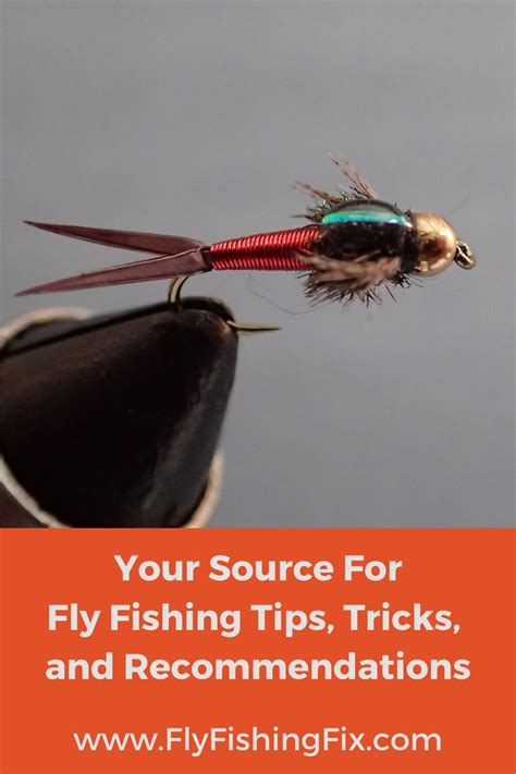 Fly Fishing Tips Tricks And Recommendations For Beginners Fly