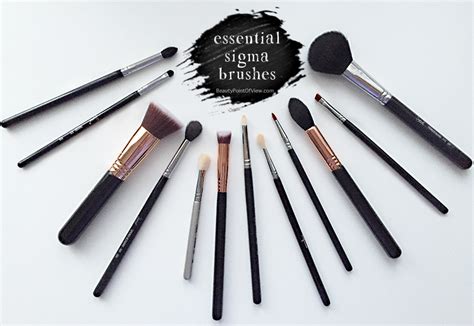 My Essential Sigma Brushes Beauty Point Of View