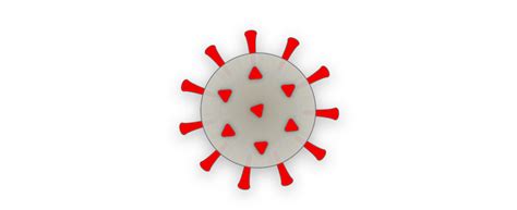 How Coronavirus Hijacks Your Cells
