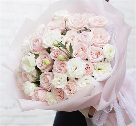 Bó Hồng Pastel Đẹp Sinh Nhật Hanoi Florist Vn