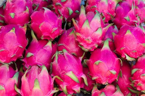 Visit our special site about tropical fruits such as: Dragonfruit | 16 Healthy Reasons Summer is the Best Season ...