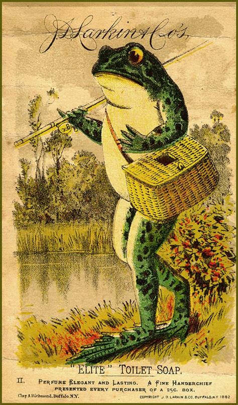 Vintage Frog Art Photo And Art Pinterest Toilets Frog Art And Dr