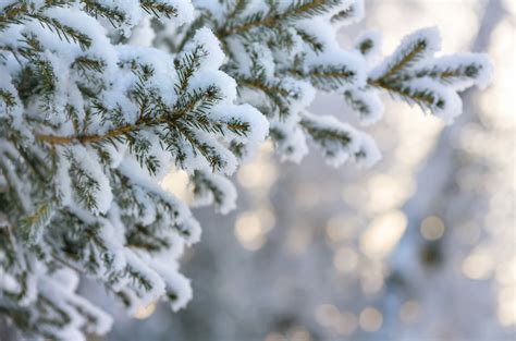 Gismeteo Погода в Москве в выходные по зимнему снежно и холодно О погоде Новости погоды